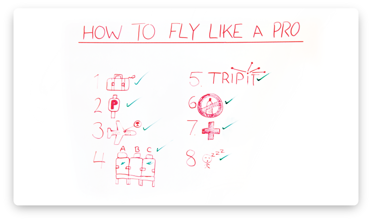 how-to-fly-like-a-pro
