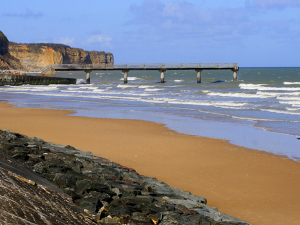 Normandy Gardens and World War II: Your Perfect Vacation Combo