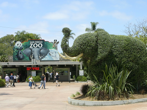 Top Unique Zoo Trips of the World