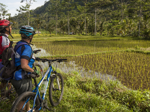 Tourists Travelling by Bike Get Up Close to Bali’s Attractions