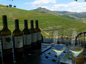 Top 5 ‘Off the Beaten Track’ Wine Tours Around the World