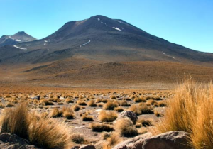 Atacama Desert, Chile